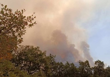 Министърът на регионалното развитие инж Виолета Коритарова призова строителния бранш