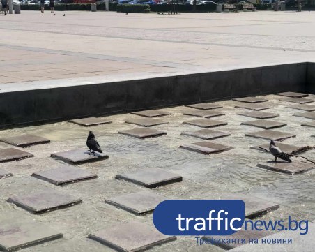 Екстремните жеги продължават! Обявиха червен код и за утре в цялата страна