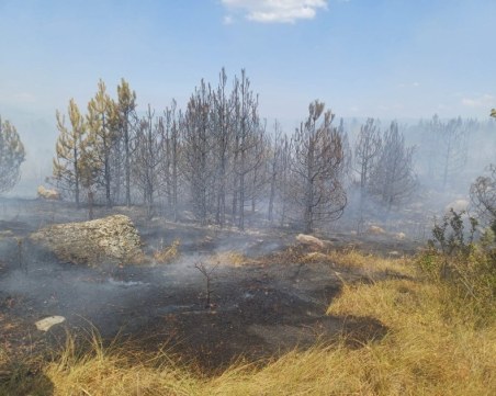 Хора и техника пристигнаха от Турция, за да помогнат с пожарите