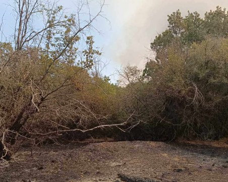 Отвориха гореща линия за сигнали при пожари, ще работи денонощни