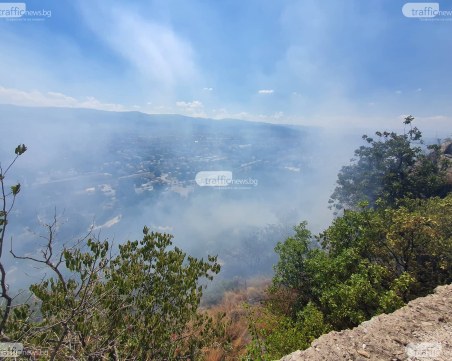 Пловдив се нуждае от спешна стратегия за адаптация към промените в климата
