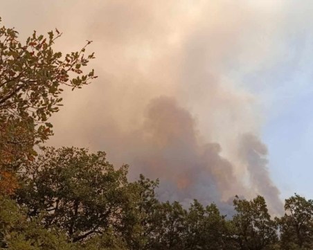 Регионалният министър призова строителния бранш да се включи в борбата с пожарите с тежка техника