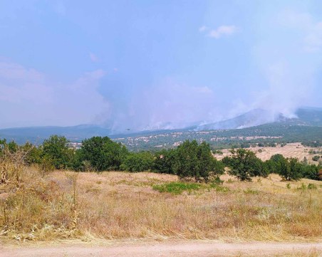 Вятър разнася пламъците край Отец Паисиево, обявиха частично бедствено положение в три близки села