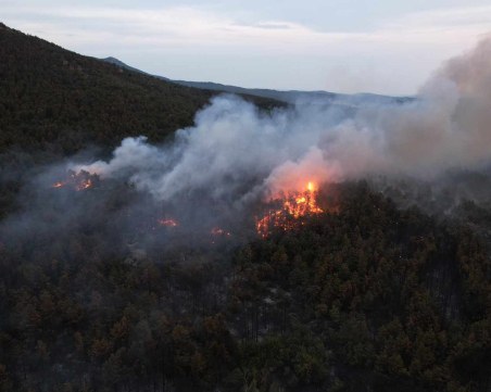 Всички сме отговорни в битката с огъня! Ако не можеш да помогнеш на терен, помогни на хората там