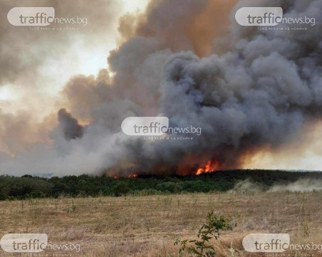 Пожар избухна край пазарджишкото село Априлци