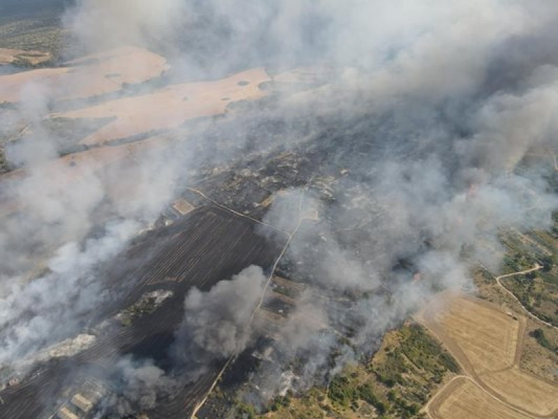 Пожарникари пострадаха при огнената стихия край Харманли, 200 овце изгоряха