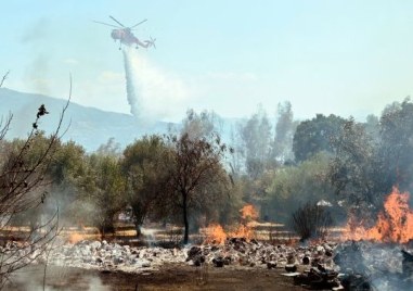 По Механизма за гражданска защита на ЕС получихме отговор от