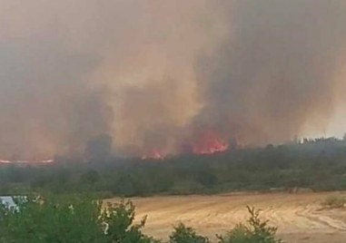 Пожар изпепели вили в Харманли и се разви опасно близо