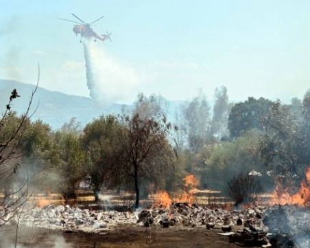 Испания изпраща два самолета за борба с пожарите у нас