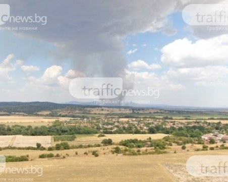 Пламъците край Отец Паисиево са изгорили 10 000 декара земя