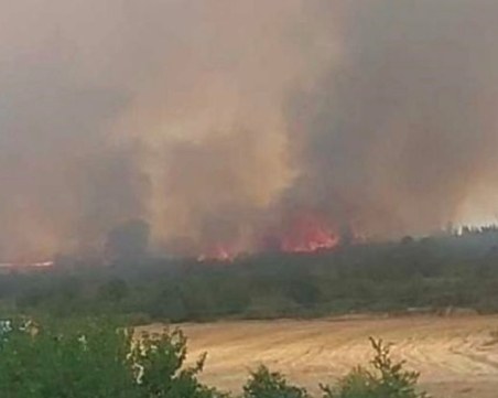 Пожар изпепели вили в Харманли, изгоря кошара с 200 овце