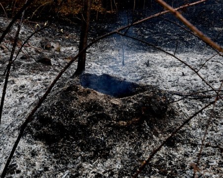 Удължиха срока на частичното бедствено положение за селата Отец Паисиево, Песнопой и Иван Вазово