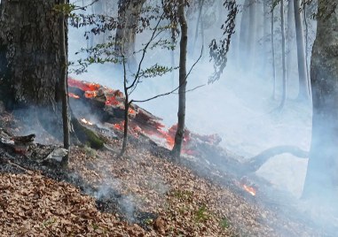 Доброволци от Пловдив 112 ще участват в гасенето на сериозен