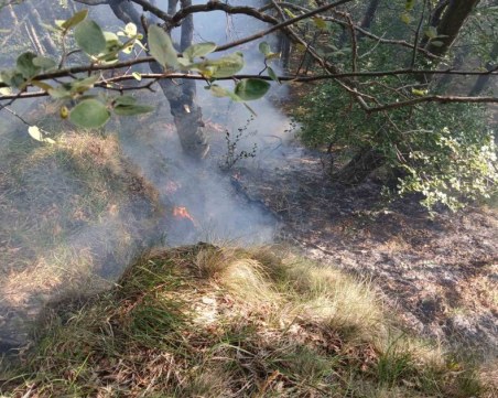 Гасят пожара край Беклемето с хеликоптери и алпинисти