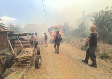 Общо 35 имота изгоряха Някои от тях бяха вили Това