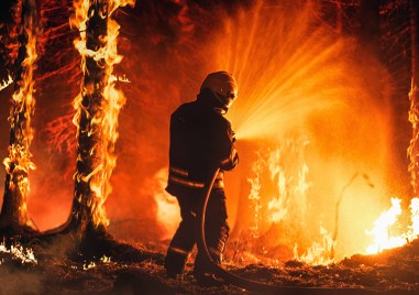 Два екипа от горски служители и екипи на противопожарната служба