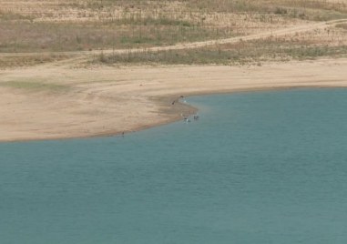 Масово измиране на рибата в язовир Пясъчник край Пловдив Според