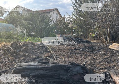 Потушиха пожара в пловдивското село Скутаре  В гасенето са се