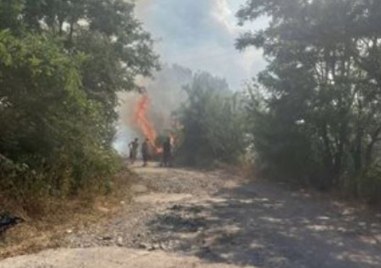 Над 200 кубика дървени трупи горяха  на гара Кочериново край