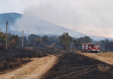 Осем досъдебни производства наблюдава районната прокуратура в Пловдив от началото