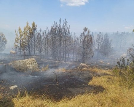 Пожарът все по-близо до българо-гръцката граница, ситуацията е критична