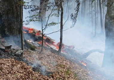 Около 700 безработни ще могат да се включат в дейности