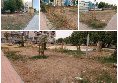 Тревните площи на квартал в централната част на Пловдив изсъхнаха