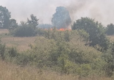 Спряно е навлизането на пожара на границата с Гърция на българска територия