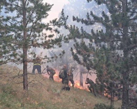 Локализираха пожара на българо-гръцката граница