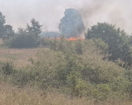 Спряно е навлизането на пожара на границата с Гърция на българска територия