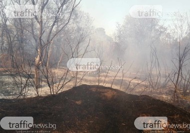 Локализиран е големият пожарът който избухна до Гребната база в