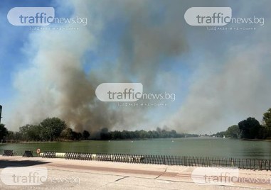 Голям пожар гори в близост до Гребната база в Пловдив