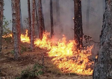 Пожарът в граничната планина Славянка отново е достигнал до границата с