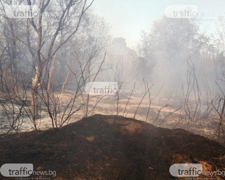 Локализираха пожара на Гребната база