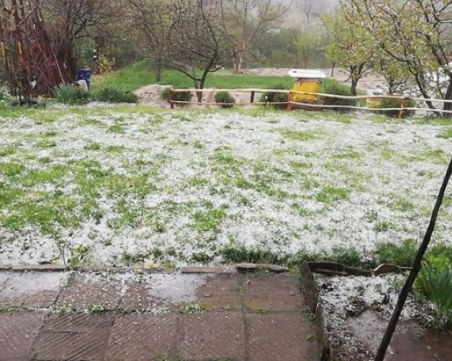 Градушка с големината на орех унищожи изцяло реколтата на 20 семейства в Родопите