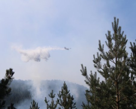 Над 15 000 декара е изпепелил пожарът до гръцката граница