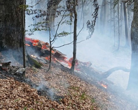 Огънят на българо-гръцката граница продължава да тлее на наша територия