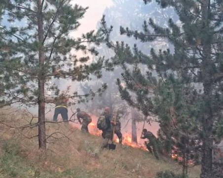 Главчев от гръцката граница: Пожарът обхвана над 70 декара от нашата територия