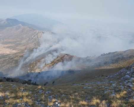 Гръцките власти: Пожарът до границата с България все още не е овладян