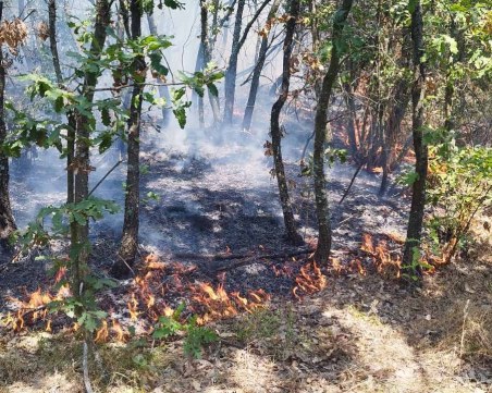 Нов пожар избухна в Карловско, ограничиха движението по главен път