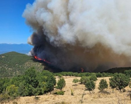 Община Струмяни обяви бедствено положение заради пожара
