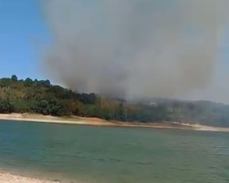 Пожар гори край асеновградски язовир, 11 екипа огнеборци гасят пламъците
