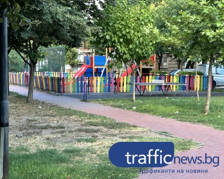 Роми завзеха парк в центъра на Пловдив, викат по цяла нощ. Пловдивчанин: няма решение на проблема