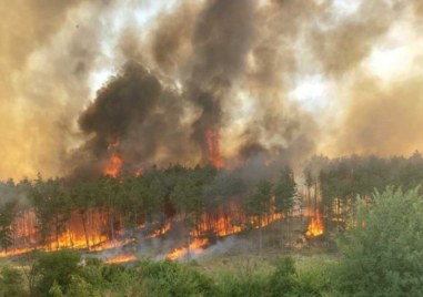 Рекордните 54 пожара са регистрирани в Северна Македония през последното