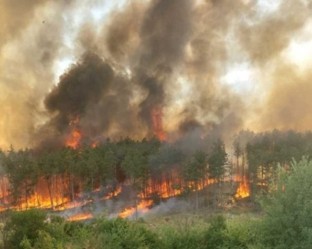 Рекордни 54 пожара бушуват в Северна Македония - 60 къщи изгоряха, един загина