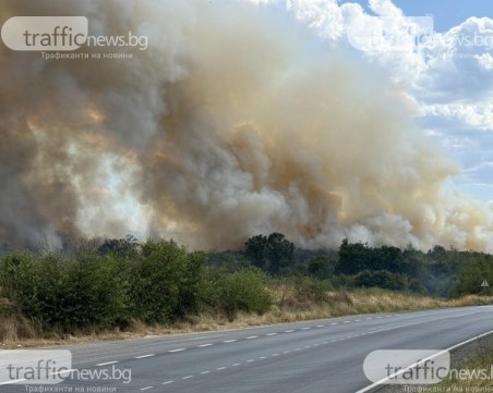 Пожарът в Панагюрище все още бушува, около 2000 декара изгоряха