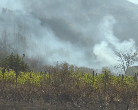 Активни са две огнища в община Струмяни