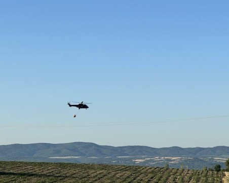 Пожарът край военния полигон 