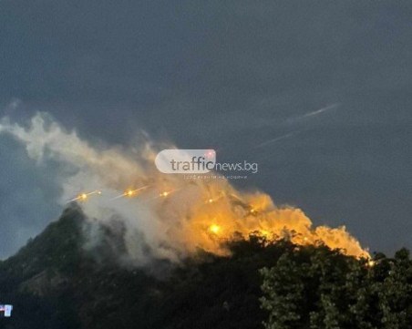 Продължава пръскането срещу комари в Пловдив