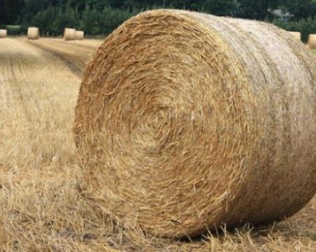 Задържаха четирима за кражба на няколко тона люцерна край Раковски